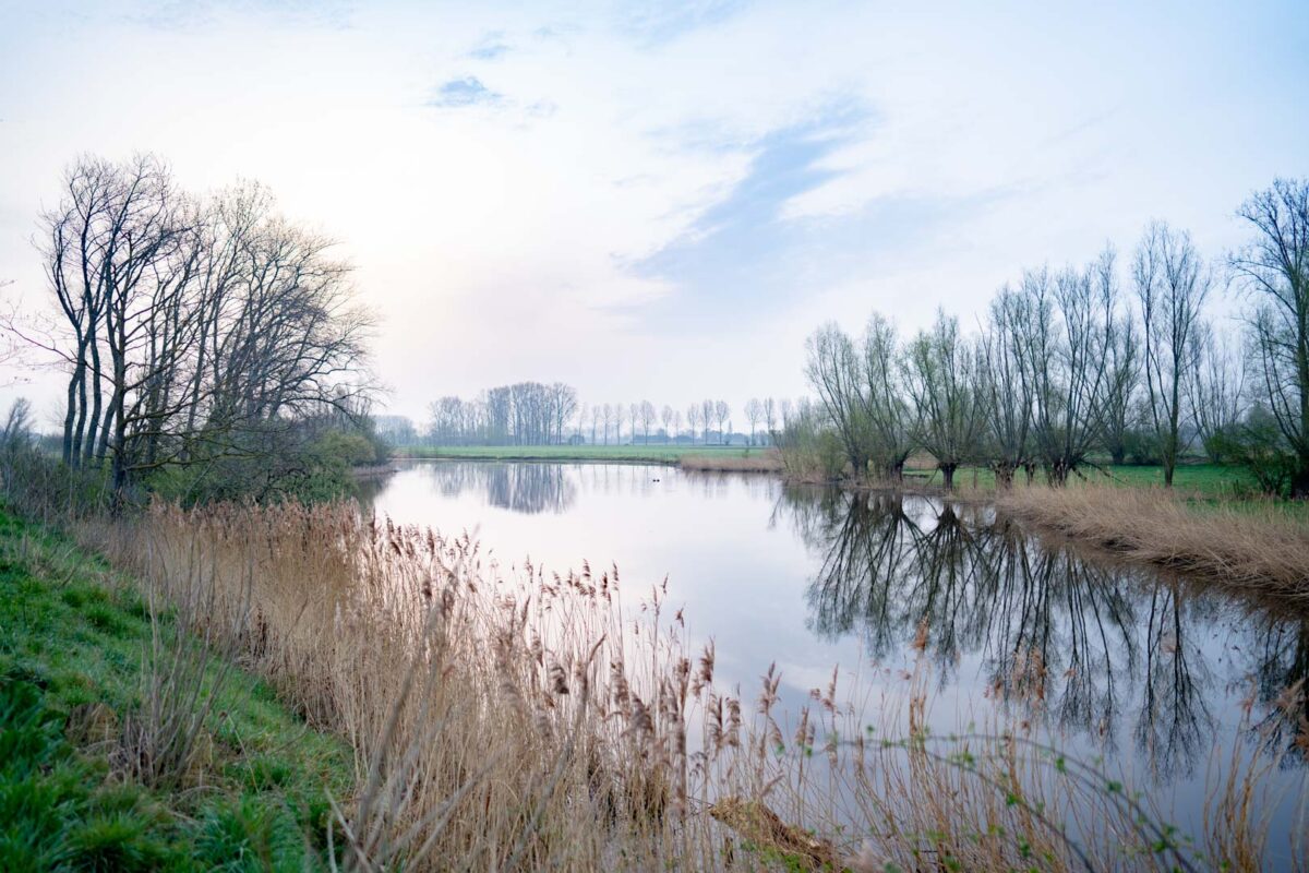 The beauty of a creek in Flanders in the morning - Beeldconnectie - De Roste Muis
